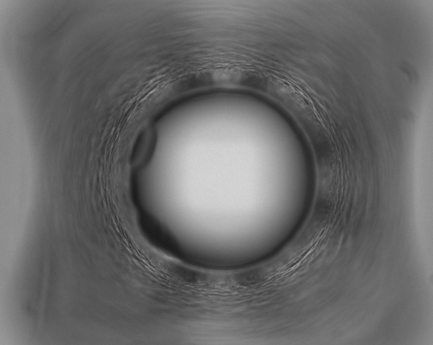 X0000113541249200909181149