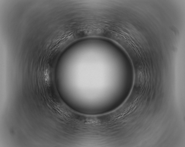 X0000113541250200909181149