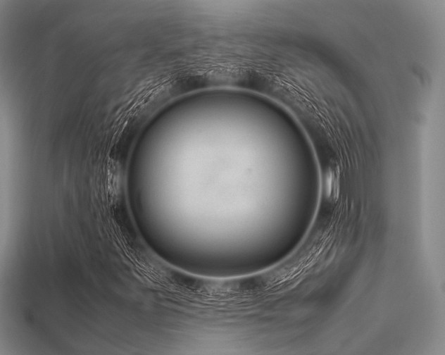 X0000113541251200909181149