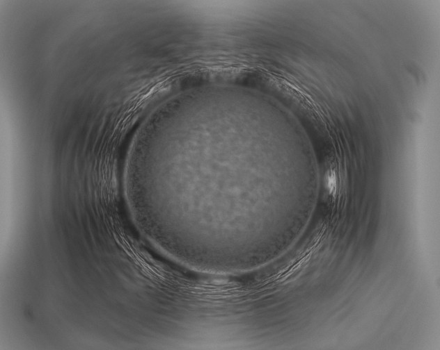 X0000113541252200909181149