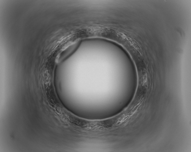 X0000113541253200909181149