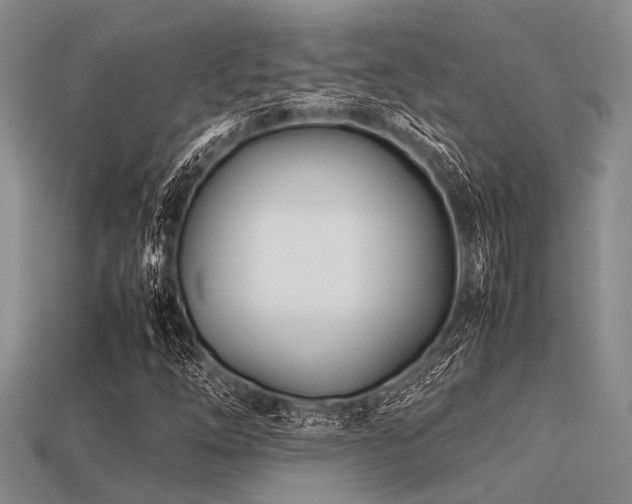 X0000113541254200909181149