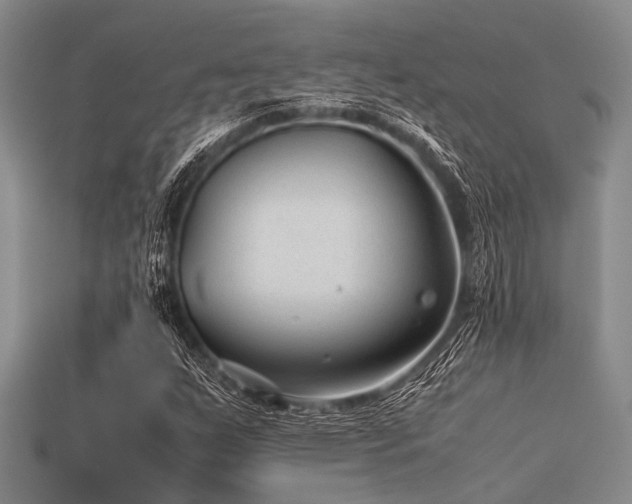 X0000113541255200909181149