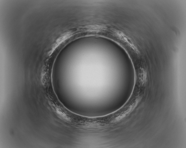 X0000113541256200909181149