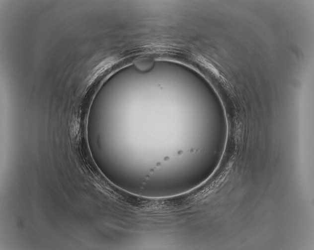 X0000113541259200909181149
