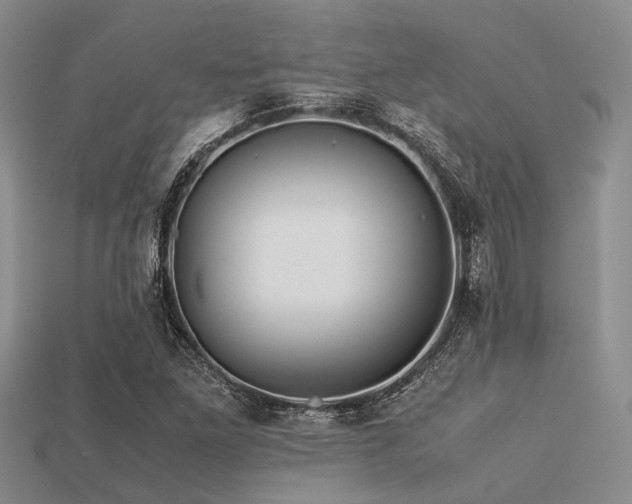 X0000113541261200909181149
