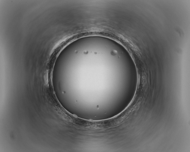 X0000113541262200909181149