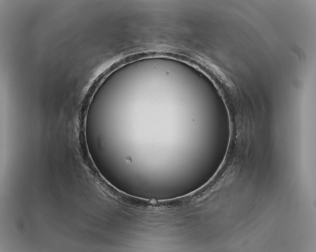 X0000113541264200909181149