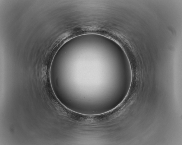 X0000113541265200909181149