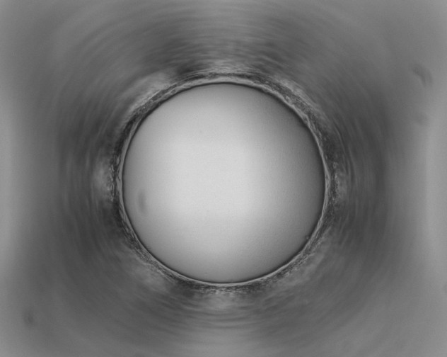 X0000113541266200909181149