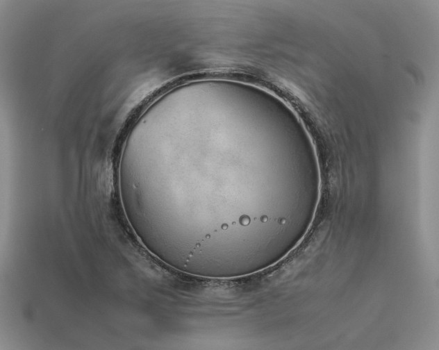 X0000113541267200909181149