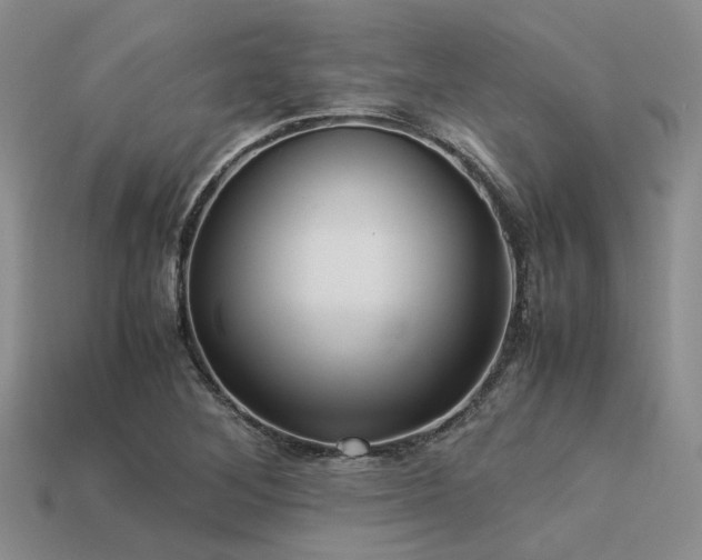 X0000113541268200909181149