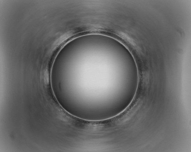 X0000113541269200909181149