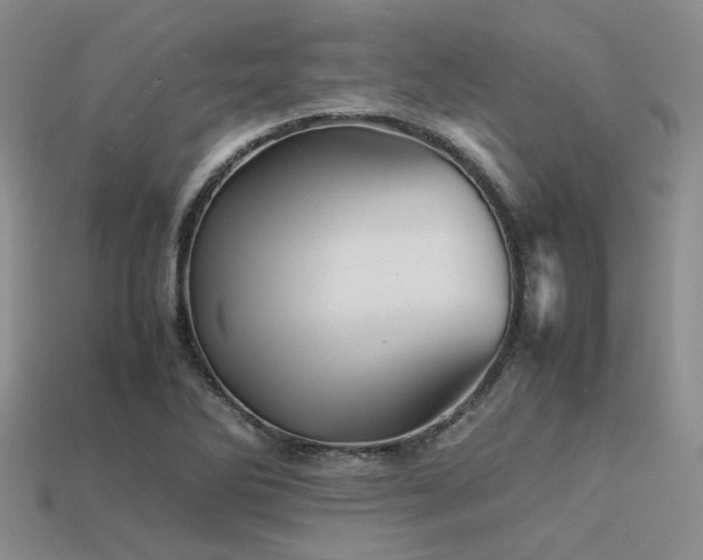 X0000113541270200909181149