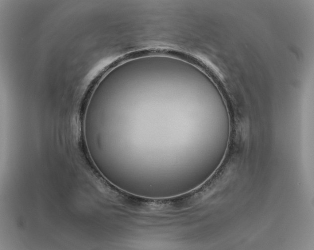 X0000113541271200909181149