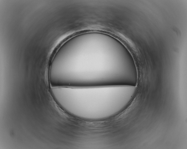 X0000113541272200909181149