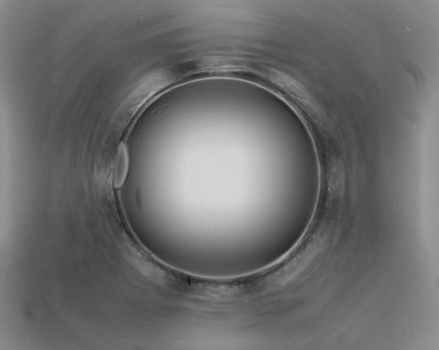 X0000113541273200909181149