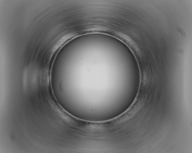X0000113541274200909181149