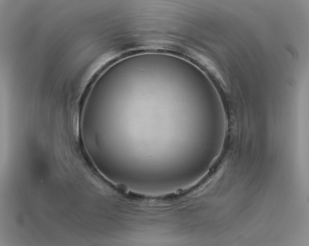 X0000113541275200909181149