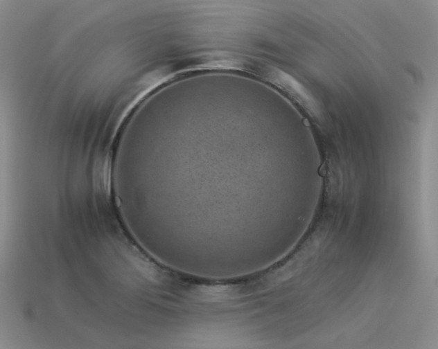 X0000113541276200909181149