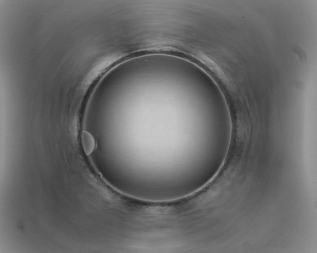 X0000113541277200909181149