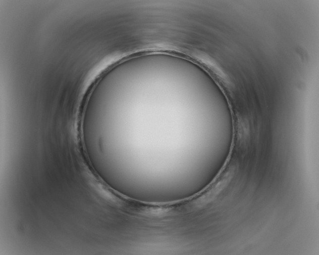 X0000113541278200909181149