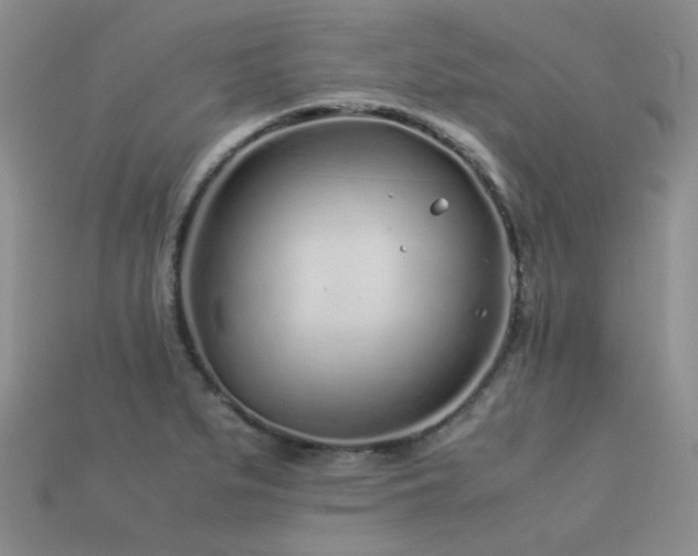 X0000113541279200909181149