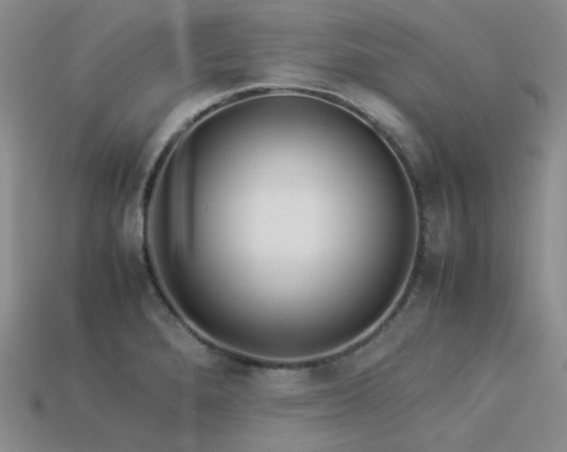 X0000113541280200909181149