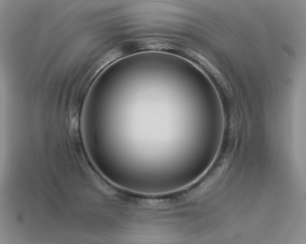 X0000113541281200909181149