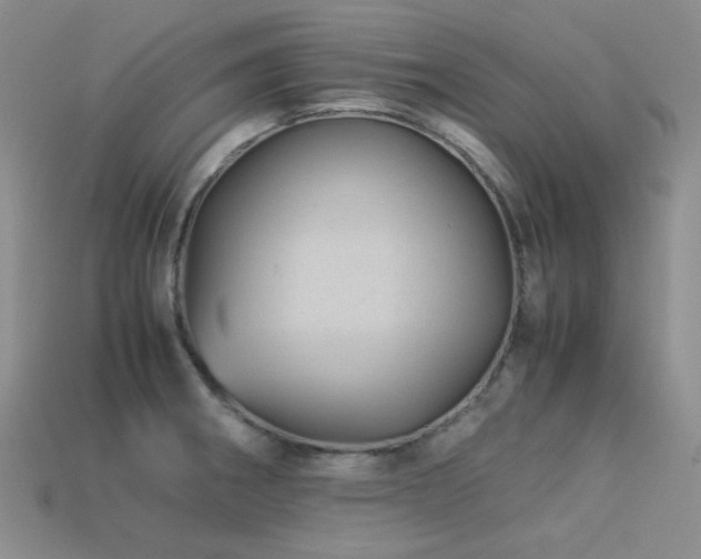 X0000113541282200909181149