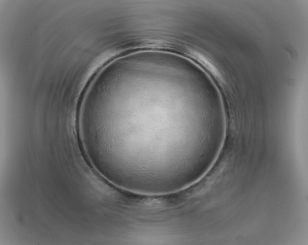 X0000113541283200909181149