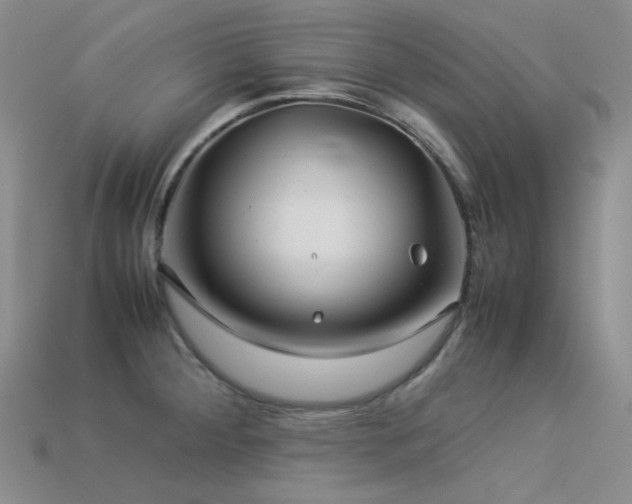 X0000113541284200909181149