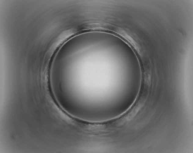 X0000113541285200909181149