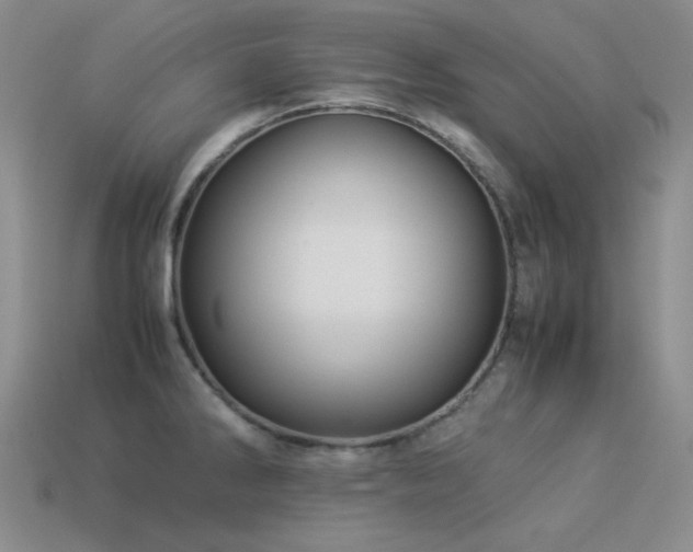 X0000113541286200909181149