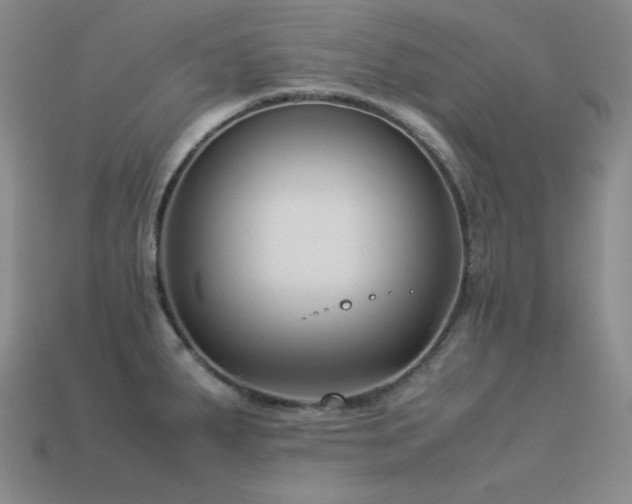 X0000113541287200909181149