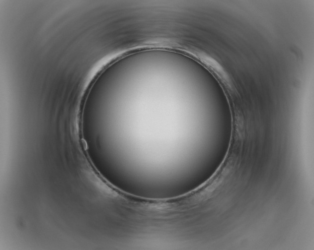 X0000113541288200909181149