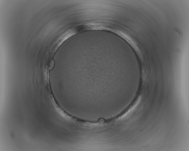 X0000113541289200909181149