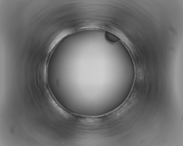 X0000113541290200909181149
