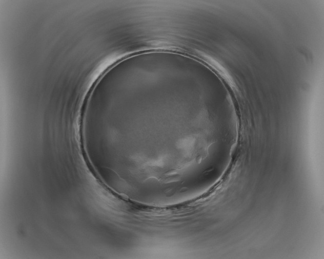 X0000113541291200909181149