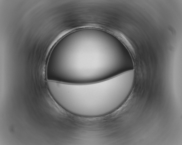X0000113541292200909181149