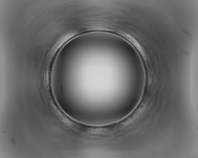 X0000113541293200909181149