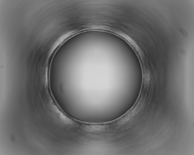 X0000113541294200909181149