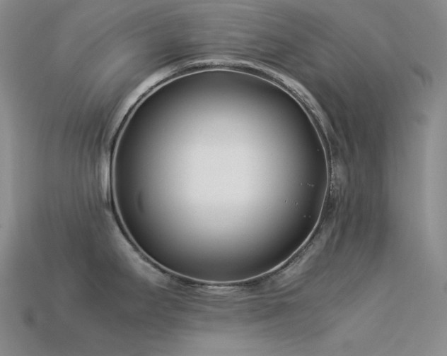 X0000113541295200909181148