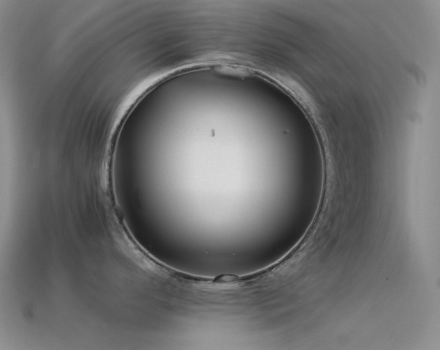 X0000113541296200909181148