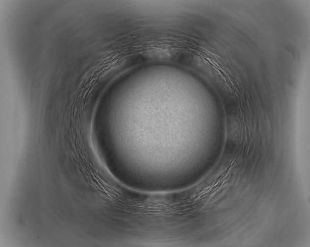 X0000113541297200909181148