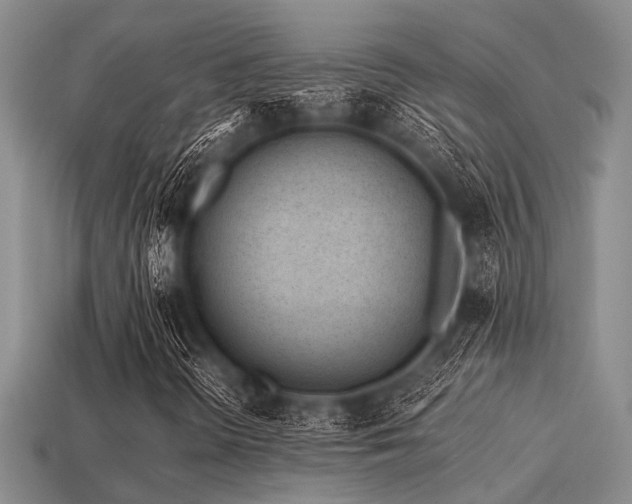 X0000113541298200909181148