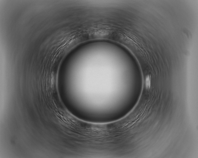 X0000113541299200909181148