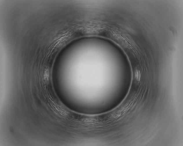X0000113541300200909181148