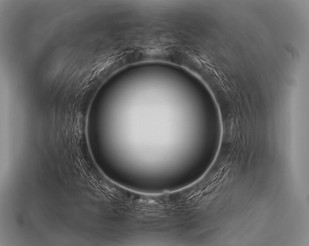 X0000113541301200909181148