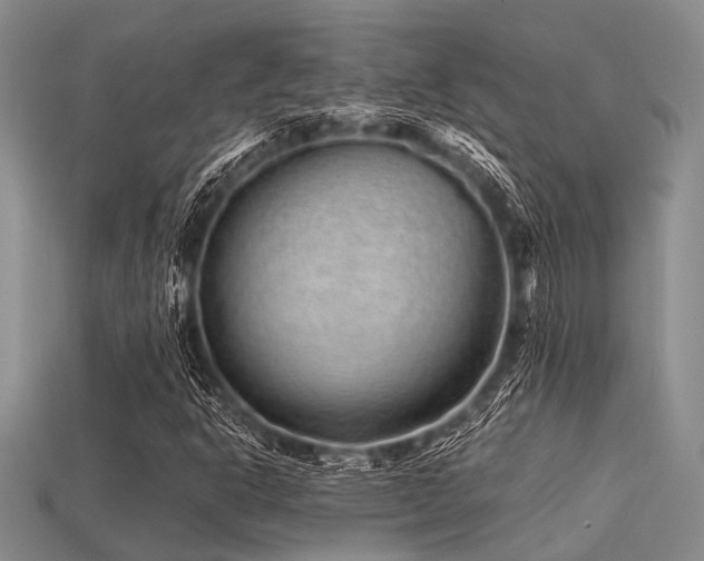 X0000113541302200909181148